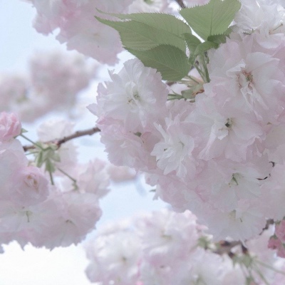 南平福瑞交流群